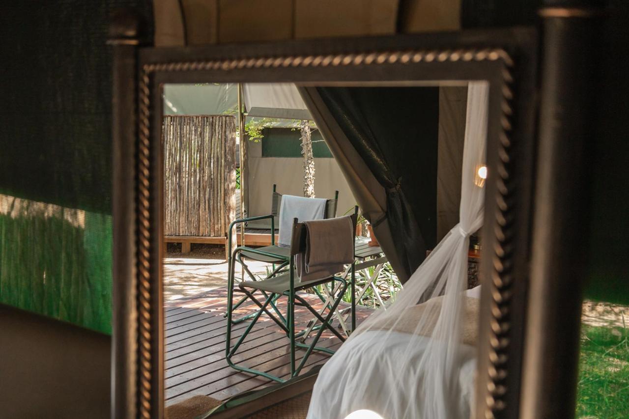 Umkumbe Bush Lodge - Luxury Tented Camp 萨比沙禁猎区 外观 照片