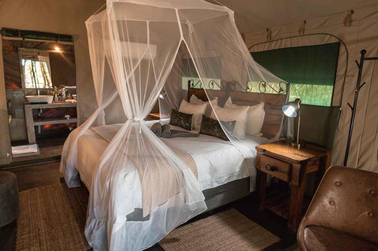 Umkumbe Bush Lodge - Luxury Tented Camp 萨比沙禁猎区 外观 照片