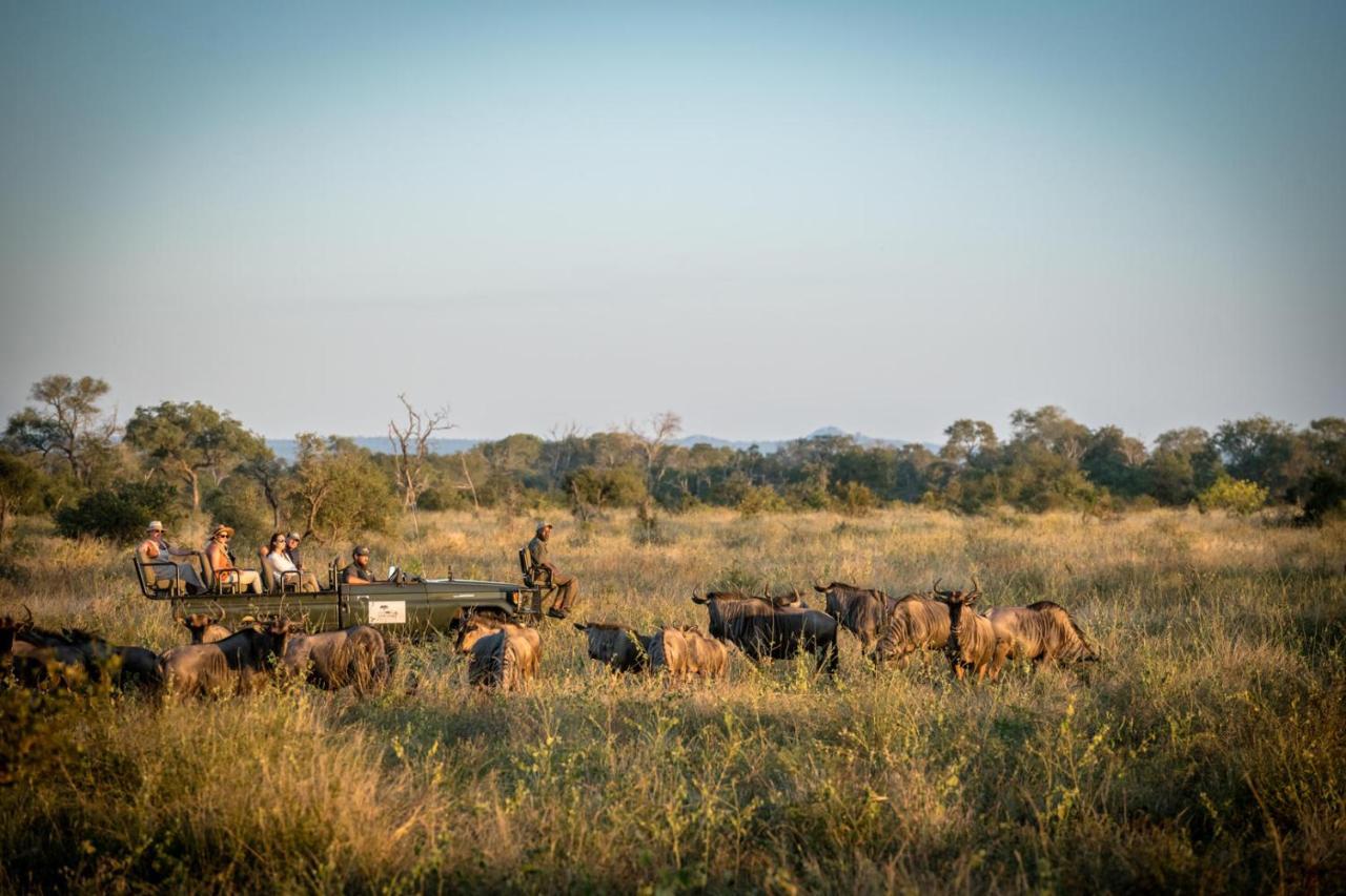 Umkumbe Bush Lodge - Luxury Tented Camp 萨比沙禁猎区 外观 照片
