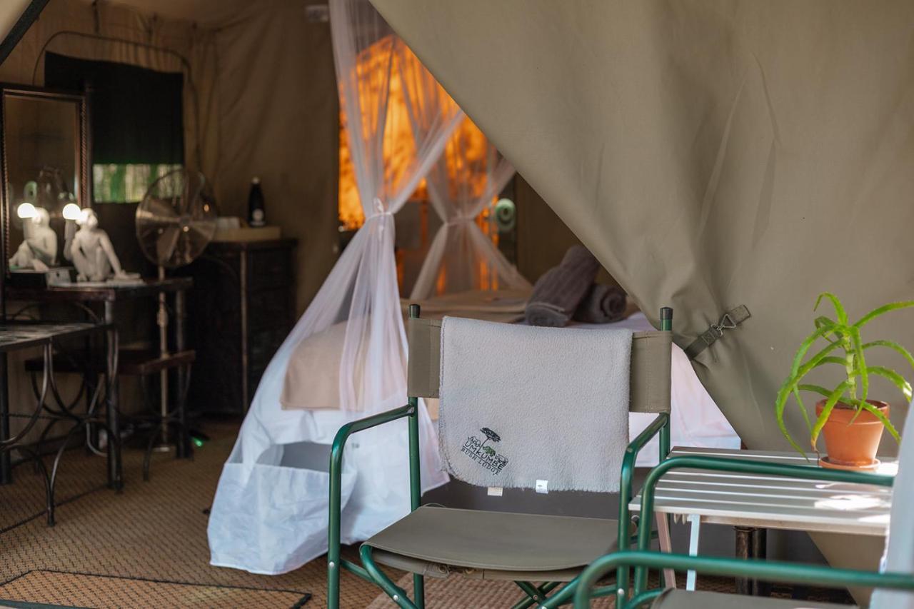 Umkumbe Bush Lodge - Luxury Tented Camp 萨比沙禁猎区 外观 照片